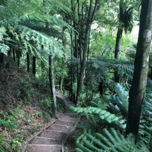 Otari Tracks and Walkways