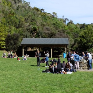 Picnics and BBQ