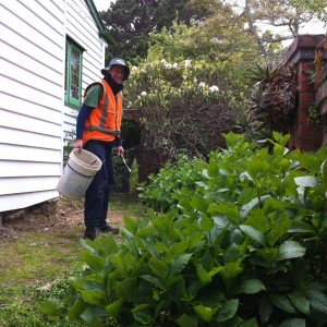 Truby King house Rob McKee gardening