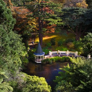 duck pond autumn v2