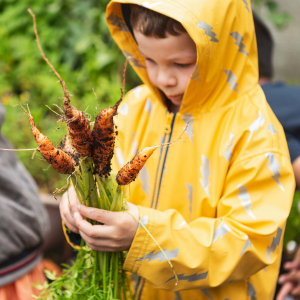 Planting through the seasons
