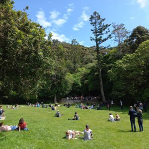 The Dell picnic