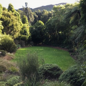 Kauri Lawn Weddings